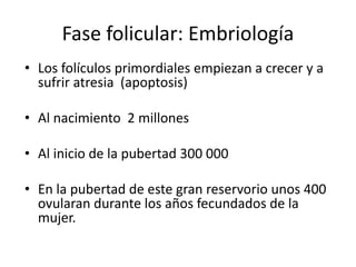 • Los folículos primordiales empiezan a crecer y a
sufrir atresia (apoptosis)
• Al nacimiento 2 millones
• Al inicio de la pubertad 300 000
• En la pubertad de este gran reservorio unos 400
ovularan durante los años fecundados de la
mujer.
Fase folicular: Embriología
 