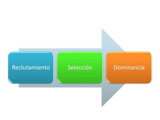 Reclutamiento Selección Dominancia
 