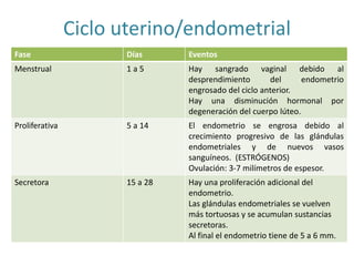 Ciclo uterino/endometrial 
Fase Días Eventos 
Menstrual 1 a 5 Hay sangrado vaginal debido al 
desprendimiento del endometrio 
engrosado del ciclo anterior. 
Hay una disminución hormonal por 
degeneración del cuerpo lúteo. 
Proliferativa 5 a 14 El endometrio se engrosa debido al 
crecimiento progresivo de las glándulas 
endometriales y de nuevos vasos 
sanguíneos. (ESTRÓGENOS) 
Ovulación: 3-7 milímetros de espesor. 
Secretora 15 a 28 Hay una proliferación adicional del 
endometrio. 
Las glándulas endometriales se vuelven 
más tortuosas y se acumulan sustancias 
secretoras. 
Al final el endometrio tiene de 5 a 6 mm. 
 