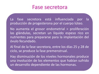 Fase secretora 
La fase secretora está influenciada por la 
producción de progesterona por el cuerpo lúteo. 
No aumenta el grosor endometrial = proliferación 
las glándulas, secretan un líquido espeso rico en 
nutrientes para prepararse para la implantación del 
óvulo fecundado. 
Al final de la fase secretora, entre los días 25 y 28 de 
ciclo, se produce la fase premenstrual. 
Hay disminución de los niveles hormonales produce 
una involución de los elementos que habían sufrido 
un desarrollo dependiente de las hormonas. 
 