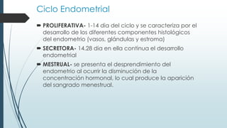 Ciclo Endometrial
 PROLIFERATIVA- 1-14 dia del ciclo y se caracteriza por el
desarrollo de los diferentes componentes histológicos
del endometrio (vasos, glándulas y estroma)
 SECRETORA- 14.28 dia en ella continua el desarrollo
endometrial
 MESTRUAL- se presenta el desprendimiento del
endometrio al ocurrir la disminución de la
concentración hormonal, lo cual produce la aparición
del sangrado menestrual.

 