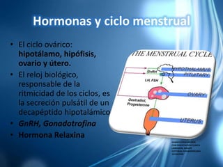Hormonas y ciclo menstrual
• El ciclo ovárico:
hipotálamo, hipófisis,
ovario y útero.
• El reloj biológico,
responsable de la
ritmicidad de los ciclos, es
la secreción pulsátil de un
decapéptido hipotalámico:
• GnRH, Gonadotrofina
• Hormona Relaxina
EMBRIOLOGIA MEDICA
CON ORIENTACION CLINICA
LANGMAN, SADLER
EDITORIAL PANAMERICANA
10 EDICION
 