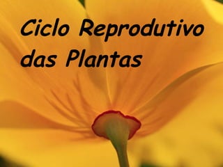 Ciclo Reprodutivo das Plantas 