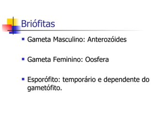 Briófitas Gameta Masculino: Anterozóides Gameta Feminino: Oosfera Esporófito: temporário e dependente do gametófito. 