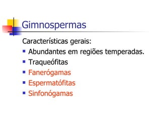 Gimnospermas Características gerais: Abundantes em regiões temperadas. Traqueófitas Fanerógamas Espermatófitas Sinfonógamas 