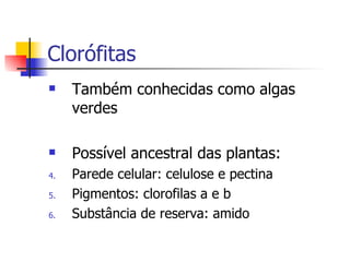 Clorófitas Também conhecidas como algas verdes Possível ancestral das plantas: Parede celular: celulose e pectina Pigmentos: clorofilas a e b Substância de reserva: amido 