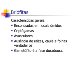 Briófitas Características gerais: Encontradas em locais úmidos Criptógamas Avasculares Ausência de raízes, caule e folhas verdadeiros Gametófito é a fase duradoura. 