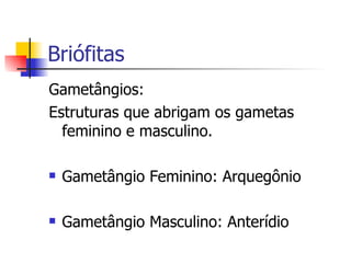 Briófitas Gametângios: Estruturas que abrigam os gametas feminino e masculino. Gametângio Feminino: Arquegônio Gametângio Masculino: Anterídio 