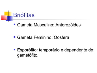 Briófitas


Gameta Masculino: Anterozóides



Gameta Feminino: Oosfera



Esporófito: temporário e dependente do
gametófito.

 