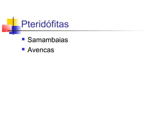 Pteridófitas



Samambaias
Avencas

 
