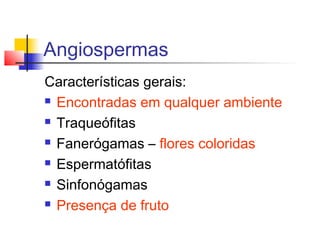 Angiospermas
Características gerais:
 Encontradas em qualquer ambiente
 Traqueófitas
 Fanerógamas – flores coloridas
 Espermatófitas
 Sinfonógamas
 Presença de fruto

 