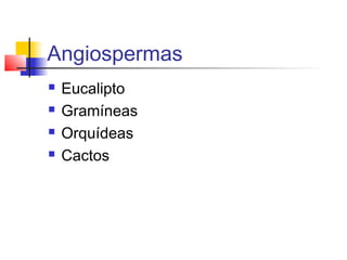 Angiospermas





Eucalipto
Gramíneas
Orquídeas
Cactos

 