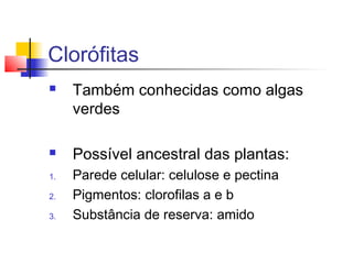 Clorófitas



1.
2.
3.

Também conhecidas como algas
verdes
Possível ancestral das plantas:
Parede celular: celulose e pectina
Pigmentos: clorofilas a e b
Substância de reserva: amido

 