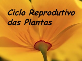 Ciclo Reprodutivo
das Plantas

 