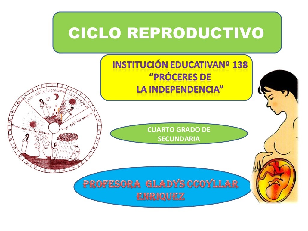 Ciclo reproductivo Ciclo reproductivo