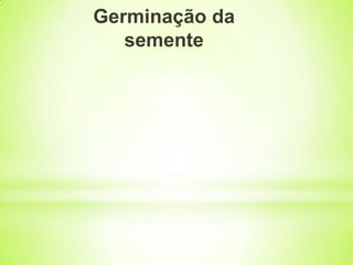 Germinação da
semente
 