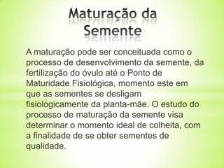 A maturação pode ser conceituada como o
processo de desenvolvimento da semente, da
fertilização do óvulo até o Ponto de
Maturidade Fisiológica, momento este em
que as sementes se desligam
fisiologicamente da planta-mãe. O estudo do
processo de maturação da semente visa
determinar o momento ideal de colheita, com
a finalidade de se obter sementes de
qualidade.
 
