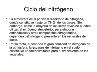 Ciclo del nitrógeno
• La atmósfera es el principal reservorio de nitrógeno,
  donde constituye hasta un 78 % de los gases. Sin
  embargo, como la mayoría de los seres vivos no pueden
  utilizar el nitrógeno atmosférico para elaborar
  aminoácidos y otros compuestos nitrogenados,
  dependen del nitrógeno presente en los minerales del
  suelo.
• Por lo tanto, a pesar de la gran cantidad de nitrógeno en
  la atmósfera, la escasez de nitrógeno en el suelo
  constituye un factor limitante para el crecimiento de los
  vegetales.
 