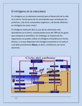 3
El nitrógeno en la naturaleza
En nitrógeno es un elemento esencial para el desarrollo de la vida
en la tierra. Forma parte de los aminoácidos que constituyen las
proteínas, y de otros compuestos orgánicos. ¿de donde obtienen
en nitrógeno los seres vivos?.
El nitrógeno molecular (N2) es uno de los elementos más
abundantes en la tierra, constituyendo cerca del 78% de los gases
que compone la atmósfera. Sin embargo, la mayoría de los
organismos no pueden utilizar el nitrógeno atmosférico en forma
directa, si no que dependen del nitrógeno presente en el suelo el
cual debe previamente fijarse, es decir, combinarse con otros
elemento
 