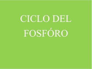 CICLO DEL
FOSFÓRO
 