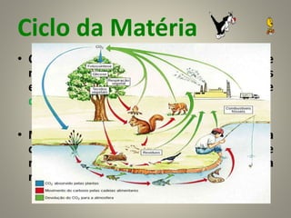 Ciclo da Matéria
• Contrariamente à energia, que se transfere
num fluxo unidirecional, a matéria circula nos
ecossistemas de uma forma cíclica e
contínua.
• Nos ecossistemas, a matéria orgânica circula
dos produtores para os consumidores e
regressa ao solo, sob a forma de matéria
mineral, pela ação dos decompositores.
3
 