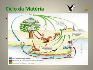 Ciclo da Matéria
• Conclui-se que ao longo das cadeias
alimentares de um ecossistema ocorrem
transferências de matéria e energia.
• No entanto, nos ecossistemas, enquanto a
matéria se conserva e é constantemente
reciclada a maior parte da energia que é
utilizada por todos os seres vivos perde-se
para o meio.
7
 