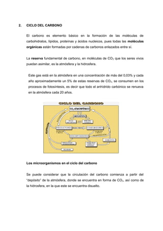 2. CICLO DEL CARBONO
El carbono es elemento básico en la formación de las moléculas de
carbohidratos, lípidos, proteínas y ácidos nucleicos, pues todas las moléculas
orgánicas están formadas por cadenas de carbonos enlazados entre sí.
La reserva fundamental de carbono, en moléculas de CO2 que los seres vivos
puedan asimilar, es la atmósfera y la hidrosfera.
Este gas está en la atmósfera en una concentración de más del 0,03% y cada
año aproximadamente un 5% de estas reservas de CO2, se consumen en los
procesos de fotosíntesis, es decir que todo el anhídrido carbónico se renueva
en la atmósfera cada 20 años.
Los microorganismos en el ciclo del carbono
Se puede considerar que la circulación del carbono comienza a partir del
“depósito” de la atmósfera, donde se encuentra en forma de CO2, así como de
la hidrosfera, en la que este se encuentra disuelto.
 