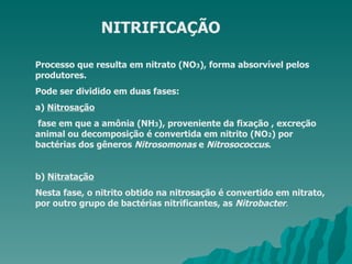 NITRIFICAÇÃO Processo que resulta em nitrato (NO 3 ), forma absorvível pelos produtores.  Pode ser dividido em duas fases: a)  Nitrosação fase em que a amônia (NH 3 ), proveniente da fixação , excreção animal ou decomposição é convertida em nitrito (NO 2 ) por bactérias dos gêneros  Nitrosomonas  e  Nitrosococcus .  b)  Nitratação Nesta fase, o nitrito obtido na nitrosação é convertido em nitrato, por outro grupo de bactérias nitrificantes, as  Nitrobacter . 