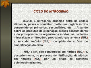 CICLO DO NITROGÊNIO


      Quando o nitrogênio orgânico entra na cadeia
alimentar, passa a constituir moléculas orgânicas dos
consumidores primários, secundários, etc ... Atuando
sobre os produtos de eliminação desses consumidores
e do protoplasma de organismos mortos, as bactérias
mineralizam o nitrogênio produzindo gás amônia (NH3)
e sais de amônio (NH4+), completando a fase de
amonificação do ciclo.

       NH4+ e NH3 são convertidos em nitritos (NO2-) e,
posteriormente, no processo de nitrificação, de nitritos
em nitratos (NO3-) por um grupo de bactérias
quimiossintetizantes.
 