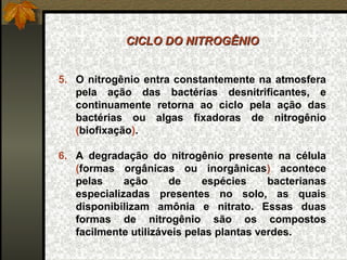 CICLO DO NITROGÊNIO


5. O nitrogênio entra constantemente na atmosfera
   pela ação das bactérias desnitrificantes, e
   continuamente retorna ao ciclo pela ação das
   bactérias ou algas fixadoras de nitrogênio
   (biofixação).

6. A degradação do nitrogênio presente na célula
   (formas orgânicas ou inorgânicas) acontece
   pelas     ação     de     espécies     bacterianas
   especializadas presentes no solo, as quais
   disponibilizam amônia e nitrato. Essas duas
   formas de nitrogênio são os compostos
   facilmente utilizáveis pelas plantas verdes.
 