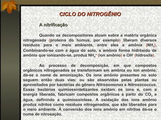 CICLO DO NITROGÊNIO
        A nitrificação

        Quando os decompositores atuam sobre a matéria orgânica
nitrogenada (proteína do húmus, por exemplo) liberam diversos
resíduos para o meio ambiente, entre eles a amônia (NH3).
Combinando-se com a água do solo, a amônia forma hidróxido de
amônio que ionizando-se, produz NH4+ (íon amônio) e OH- (hidroxila).

        Ao processo de decomposição, em que compostos
orgânicos nitrogenados se transformam em amônia ou íon amônio,
dá-se o nome de amonização. Os íons amônio presentes no solo
seguem então duas vias: ou são absorvidas pelas plantas ou
aproveitados por bactérias do gênero Nitrosomonas e Nitrosococcus.
Essas bactérias quimiossintetizantes oxidam os íons e, com a
energia liberada, fabricam compostos orgânicos a partir do CO2 e
água, definindo a quimiossíntese. A oxidação dos íons amônio
produz nitritos como resíduos nitrogenados, que são liberados para
o meio ambiente. À conversão dos íons amônio em nitritos dá-se o
nome de nitrosação.
 