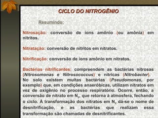 CICLO DO NITROGÊNIO

       Resumindo:

Nitrosação: conversão de íons amônio (ou amônia) em
nitritos.

Nitratação: conversão de nitritos em nitratos.

Nitrificação: conversão de íons amônio em nitratos.

Bactérias nitrificantes: compreendem as bactérias nitrosas
(Nitrosomonas e Nitrosococcus) e nítricas (Nitrobacter).
No solo existem muitas bactérias (Pseudomonas, por
exemplo) que, em condições anaeróbicas, utilizam nitratos em
vez de oxigênio no processo respiratório. Ocorre, então, a
conversão de nitrato em N2, que retorna à atmosfera, fechando
o ciclo. À transformação dos nitratos em N 2 dá-se o nome de
desnitrificação, e as bactérias que realizam essa
transformação são chamadas de desnitrificantes.
 