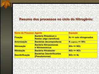 Resumo dos processos no ciclo do Nitrogênio:



Nome do Processo Agente                       Equação
                 Bactéria Rhizobium e
Fixação                                       N2 => sais nitrogenados
                 Nostoc (alga cianofícea)
Amonização       Bactérias decompositoras     N orgânico => NH4
                 Bactéria Nitrosomonas
Nitrosação                                    NH4 => NO2
                 e Nitrosococcus
Nitratação       Bactéria Nitrobacter         NO2 => NO3
                 Bactérias Desnitrificantes
Desnitrificação                               NO3 => N2
                 (Pseudomonas)
 