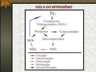 CICLO DO NITROGÊNIO
 