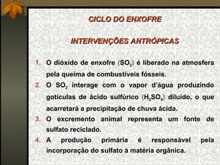 CICLO DO ENXOFRE

          INTERVENÇÕES ANTRÓPICAS

1. O dióxido de enxofre (SO2) é liberado na atmosfera
   pela queima de combustíveis fósseis.
2. O SO2 interage com o vapor d’água produzindo
   gotículas de ácido sulfúrico (H2SO4) diluído, o que
   acarretará a precipitação de chuva ácida.
3. O excremento animal representa um fonte de
   sulfato reciclado.
4. A   produção         primária   é   responsável   pela
   incorporação do sulfato à matéria orgânica.
 