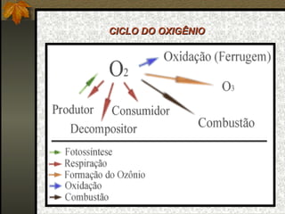 CICLO DO OXIGÊNIO
 