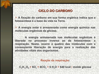 CICLO DO CARBONO
 A fixação do carbono em sua forma orgânica indica que a 
fotossíntese é a base da vida na Terra.

  A  energia  solar  é  armazenada  como  energia  química  nas 
moléculas orgânicas da glicose.

        A  energia  armazenada  nas  moléculas  orgânicas  é 
liberada  no  processo  inverso  ao  da  fotossíntese:  a 
respiração.  Nesta,  ocorre  a  quebra  das  moléculas  com  a 
conseqüente  liberação  de  energia  para  a  realização  das 
atividades vitais dos organismos.


                    Reação da respiração:

   C6H12O6 + 6O2 = 6CO2 + 6 H2O + 640 kcal / molde glicose
 