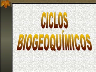 Ciclos biogeoqumico 