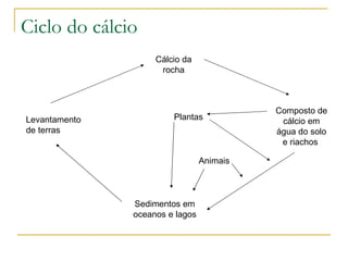 Ciclo do cálcio Levantamento de terras Cálcio da rocha Composto de cálcio em água do solo e riachos  Sedimentos em oceanos e lagos Plantas Animais 