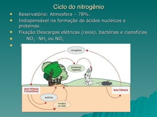 Ciclo do nitrogênio Reservatório: Atmosfera – 78%. Indispensável na formação de ácidos nucléicos e proteínas. Fixação:Descargas elétricas (raios), bactérias e cianofícias NO 2 --  NH 3  ou NO 3 - Retorno: Decomposição  
