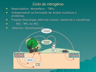 Ciclo do nitrogênio Reservatório: Atmosfera – 78%. Indispensável na formação de ácidos nucléicos e proteínas. Fixação:Descargas elétricas (raios), bactérias e cianofícias NO 2 --  NH 3  ou NO 3 - Retorno: Decomposição  