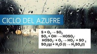 CICLO DEL AZUFRE
 