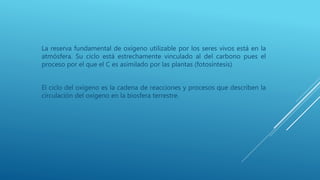 La reserva fundamental de oxígeno utilizable por los seres vivos está en la
atmósfera. Su ciclo está estrechamente vinculado al del carbono pues el
proceso por el que el C es asimilado por las plantas (fotosíntesis)
El ciclo del oxígeno es la cadena de reacciones y procesos que describen la
circulación del oxígeno en la biosfera terrestre.
 