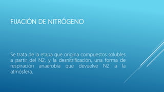 FIJACIÓN DE NITRÓGENO
Se trata de la etapa que origina compuestos solubles
a partir del N2, y la desnitrificación, una forma de
respiración anaerobia que devuelve N2 a la
atmósfera.
 