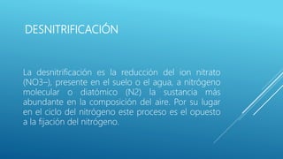 DESNITRIFICACIÓN
La desnitrificación es la reducción del ion nitrato
(NO3–), presente en el suelo o el agua, a nitrógeno
molecular o diatómico (N2) la sustancia más
abundante en la composición del aire. Por su lugar
en el ciclo del nitrógeno este proceso es el opuesto
a la fijación del nitrógeno.
 