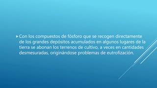 Con los compuestos de fósforo que se recogen directamente
de los grandes depósitos acumulados en algunos lugares de la
tierra se abonan los terrenos de cultivo, a veces en cantidades
desmesuradas, originándose problemas de eutrofización.
 
