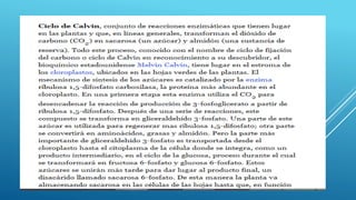 Ciclos biogeoquímicos