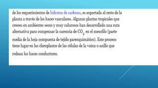 Ciclos biogeoquímicos