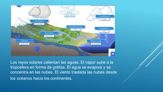 Los rayos solares calientan las aguas. El vapor sube a la
troposfera en forma de gotitas. El agua se evapora y se
concentra en las nubes. El viento traslada las nubes desde
los océanos hacia los continentes.
 