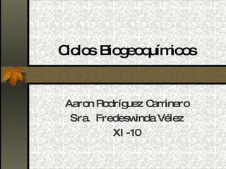 Ciclos Biogeoquímicos Aaron Rodríguez Caminero Sra.  Fredeswinda Vélez XI-10 